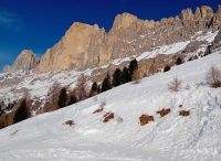 Val di Fassa e Carezza aktuálně