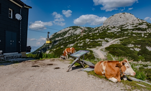 Lanovka na Krippenstein